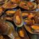 Cooksnap dari mawaddah untuk resep Kerang saus Padang