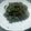Joyce Ng'ong'a's cooksnap of when they made Managu/osuga.