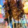 Cooksnap dari tasya untuk resep Sate kulit ayam #pr_adakecapmanisnya