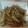 El cooksnap de Chusmi cuando hizo Cebolla caramelizada.
