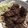 Ryan Goodwin's cooksnap of when they made Easy Viet-Inspired Coffee & Brown Sugar Braised Pork.