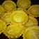 Cooksnap dari Nisa Soby untuk resep Pie susu enak dan renyah