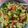 Runta Dutta's cooksnap of when they made ভেজ পাস্তা স্যুপ(veg pasta soup recipe in Bengali).