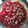 Shunae Johnson 's cooksnap of when they made No Bake 