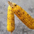 Cooksnap RH Kitchens semasa beliau membuat Jagung Bakar.