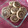 El cooksnap de Paula Carrasco Jimenez cuando hizo Galletas en espiral.