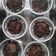 Cooksnap dari Susilawati Wati untuk resep Brownies Kukus Lapis Coklat aLa NCC