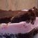 Cooksnap dari Kiena untuk resep Blackforest layer cake #ketopad