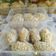Cooksnap dari Kiki_Nomuyepo untuk resep Harwin's fav: Korokke Jepang ala Just One Cookbook, favorit keluarga