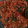Cooksnap dari siskawoww untuk resep Sambal Dadak