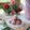 Cooksnap dari Anggia Zainur untuk resep Red Velvet Snow Ball