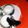 Cooksnap dari Bainii Bainii untuk resep Molten Cake Kukus