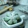 Cooksnap dari SMarisa untuk resep Chapssal Korean Donuts