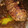 El cooksnap de Isabel María cuando hizo Pechuga de pavo campero relleno de longaniza fresca y beicon.