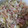 El cooksnap de Francisco Soribella cuando hizo Ensalada de pasta.