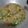 Cooksnap dari Nitria Nandiani untuk resep 30. Kikil Kecap Cabe Hijau - ala Mamah Afa