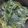 健康小廚臉 的 燙地瓜葉(休閒鍋) cooksnap