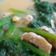 Cooksnap dari Nurul untuk resep Lodeh daun labu+tempe