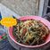 Cooksnap dari Yerda Fahrana 예르다 파흐라나 ✅ untuk resep Cah Kangkung Toge