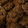 Cooksnap dari shirienwildan untuk resep Cookies Chocochips