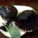 Cooksnap dari Ima Asikin untuk resep Eggless Moist Chocolate Cupcake, cake tanpa telur, tanpa mikser, resep mudah & anti gagal.