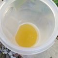 Cooksnap dari Sartini untuk resep Minyak Wijen Homemade
