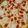 Cooksnap de IsaSand sur la recette Quiche au jambon et tomates cerises