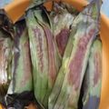 Cooksnap dari Istianah untuk resep Nasi Bakar Ati Ampela