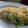 Cooksnap dari Lenny Kartika untuk resep BROCCOLI DIET