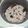 Cooksnap dari Sel, untuk resep Nasi Liwet Rice Cooker
