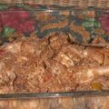 Cooksnap dari IdaSulasmino untuk resep Ayam Rendang Kering