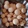 El cooksnap de Carina Orcellet cuando hizo Galletitas dulce!!.