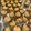 Cooksnap ae semasa beliau membuat Cornflakes Madu.