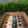 Cooksnap dari novi ristiana untuk resep Cake Potong (Sponge Cake)
