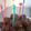 Cooksnap dari Foodygraph untuk resep Bola bola coklat