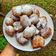 Cooksnap dari Nadila UtamaDira untuk resep Oliebollen