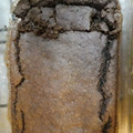 El cooksnap de Francisca Andrea Panchito cuando hizo Brownie de Porotos Negros (sin harina y sin huevos).
