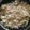 Reham Essawy's cooksnap of when they made Tuna and Scrambled Egg Stir Fry.