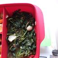 Cooksnap dari norma anggra untuk resep 🍃 Cah Kangkung Jahe ala Dapur Fitri 🍃