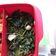 Cooksnap dari norma anggra untuk resep 🍃 Cah Kangkung Jahe ala Dapur Fitri 🍃