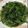 陳伽瑜 的 蒜炒菠菜 cooksnap