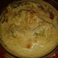 El cooksnap de Gatuela Feliz cuando hizo Brócoli gratinado en salsa bechamel.