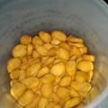 Cooksnap dari azni untuk resep Biji ketapang meriah