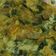Cooksnap dari ika verlita untuk resep Spinach Rice Omelette