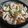 Hui lin Yang 的 泡菜炒中卷 cooksnap