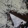 Cooksnap dari Sulistyo Wati untuk resep Brownies kukus Murmer