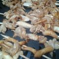 Cooksnap dari Siti Latifah untuk resep Sate Jamur Tiram