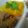 Cooksnap dari Ny.Robeth untuk resep Nasi Kuning Wangiii Blueband