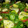 El cooksnap de AnNoeTo cuando hizo Ensalada de tomate 🍅, mozzarella y aguacate 🥑.