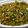 Disha Bhindora's cooksnap of when they made વઘારેલો ડ્રાય લસણીયો રોટલો (Garlic Roasted Dry Rotla Recipe In Gujarati).